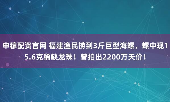 申穆配资官网 福建渔民捞到3斤巨型海螺,螺中现15.6克稀缺龙珠!曾拍出2200万天价!
