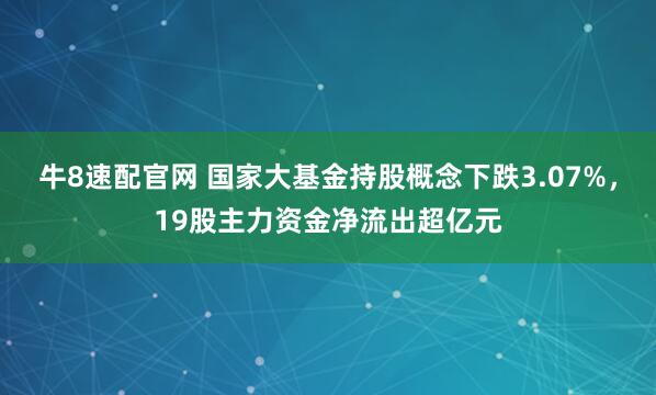 牛8速配官网 国家大基金持股概念下跌3.07%,19股主力资金净流出超亿元