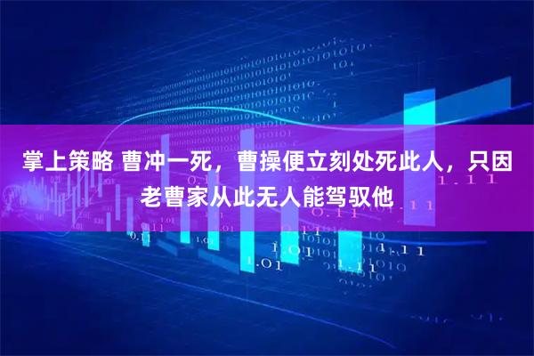 掌上策略 曹冲一死，曹操便立刻处死此人，只因老曹家从此无人能驾驭他