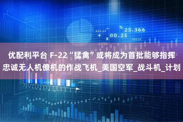 优配利平台 F-22“猛禽”或将成为首批能够指挥忠诚无人机僚机的作战飞机_美国空军_战斗机_计划