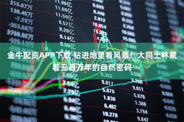 金牛配资APP下载 钻进地里看风景!大同土林藏着三百万年的自然密码